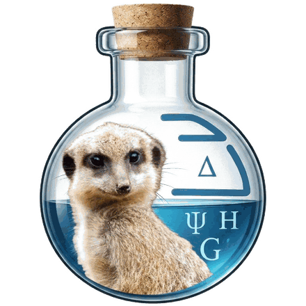 狐獴老師的物化課 (Meerkat Teacher's Physical Chemistry)